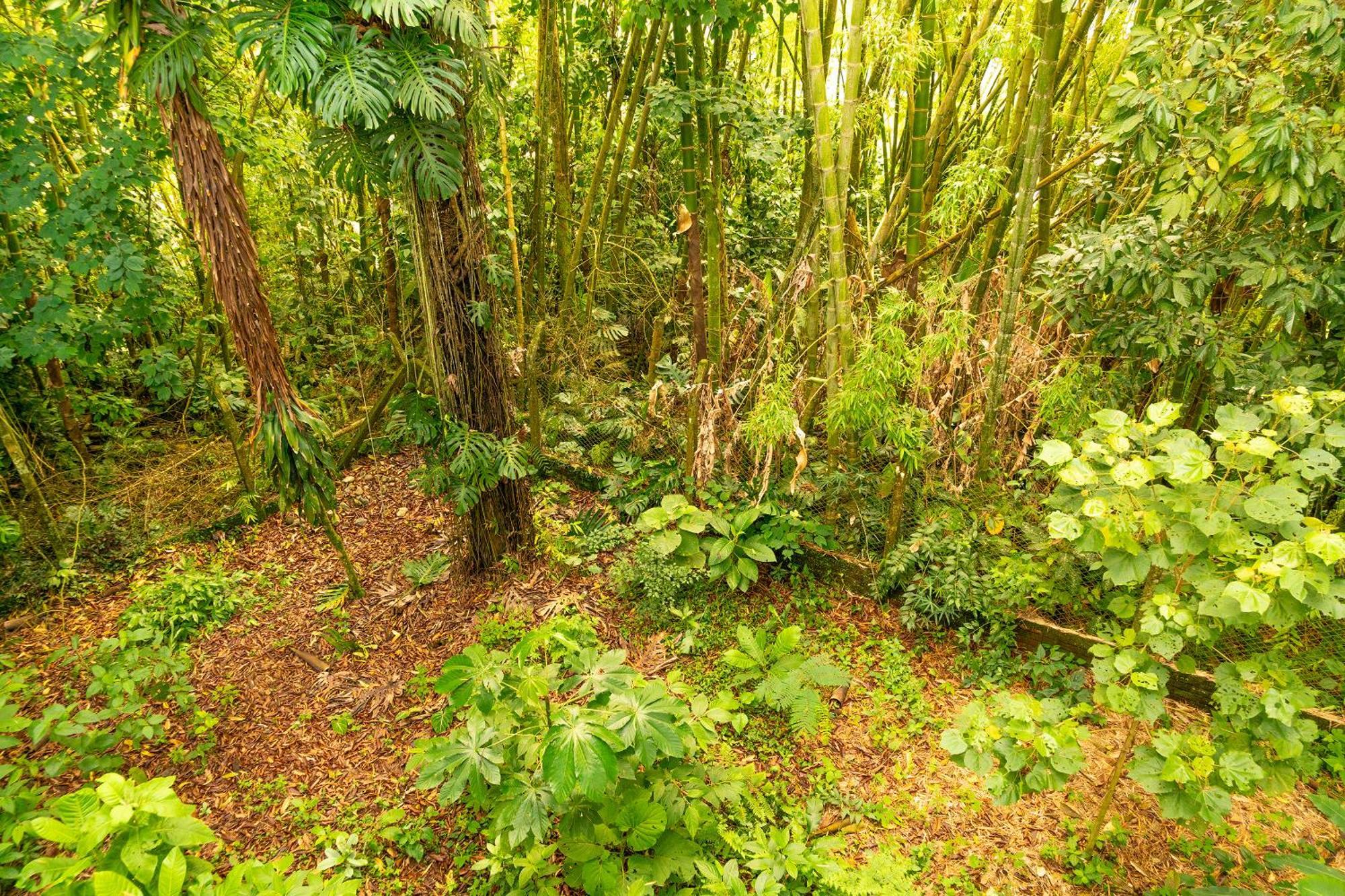 Aldea Sabatinga Lodge Manizales
