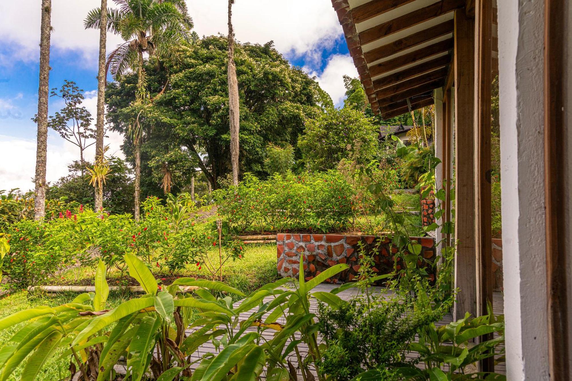 Aldea Sabatinga Manizales