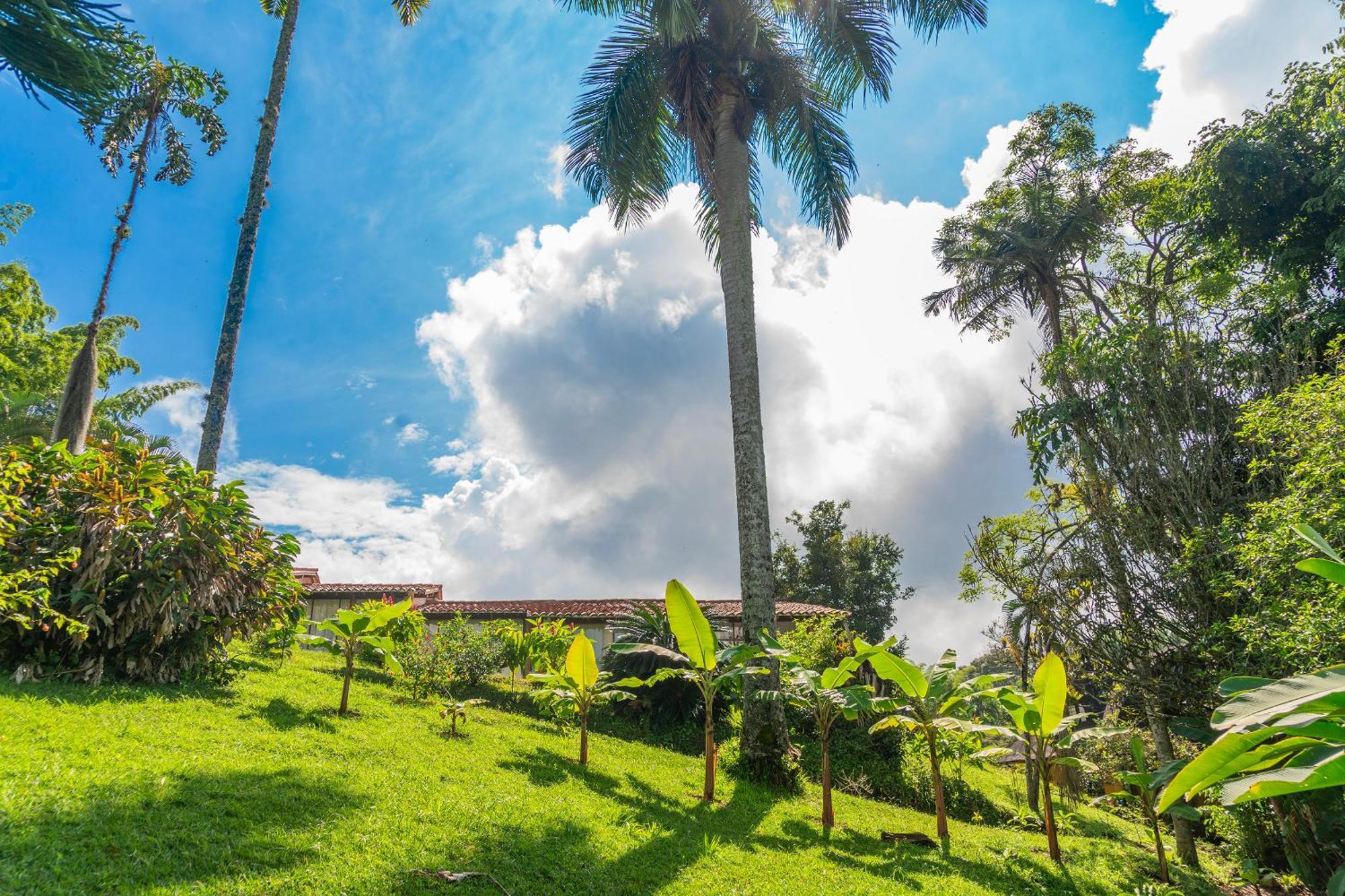 Aldea Sabatinga Manizales